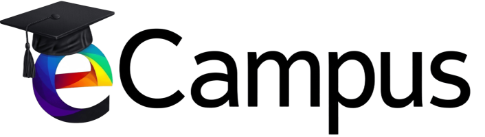 Estratega eCampus